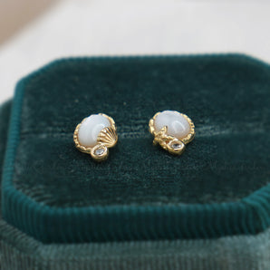 Seashell Earrings