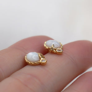 Seashell Earrings